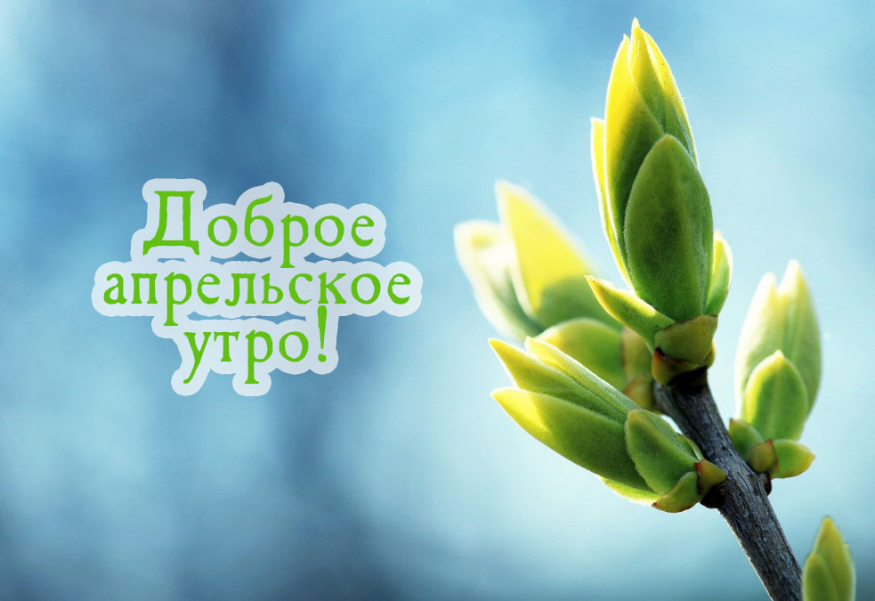 Доброе апрельское утро!