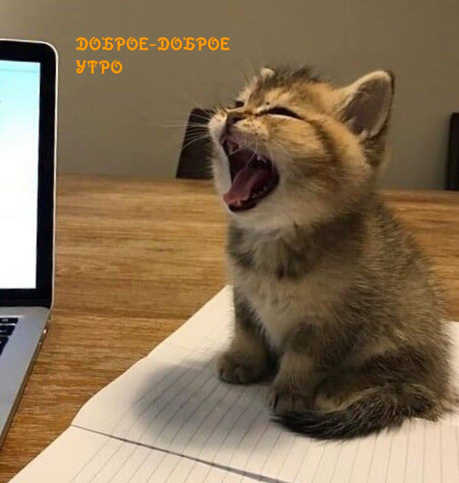 Доброе-доброе утро
