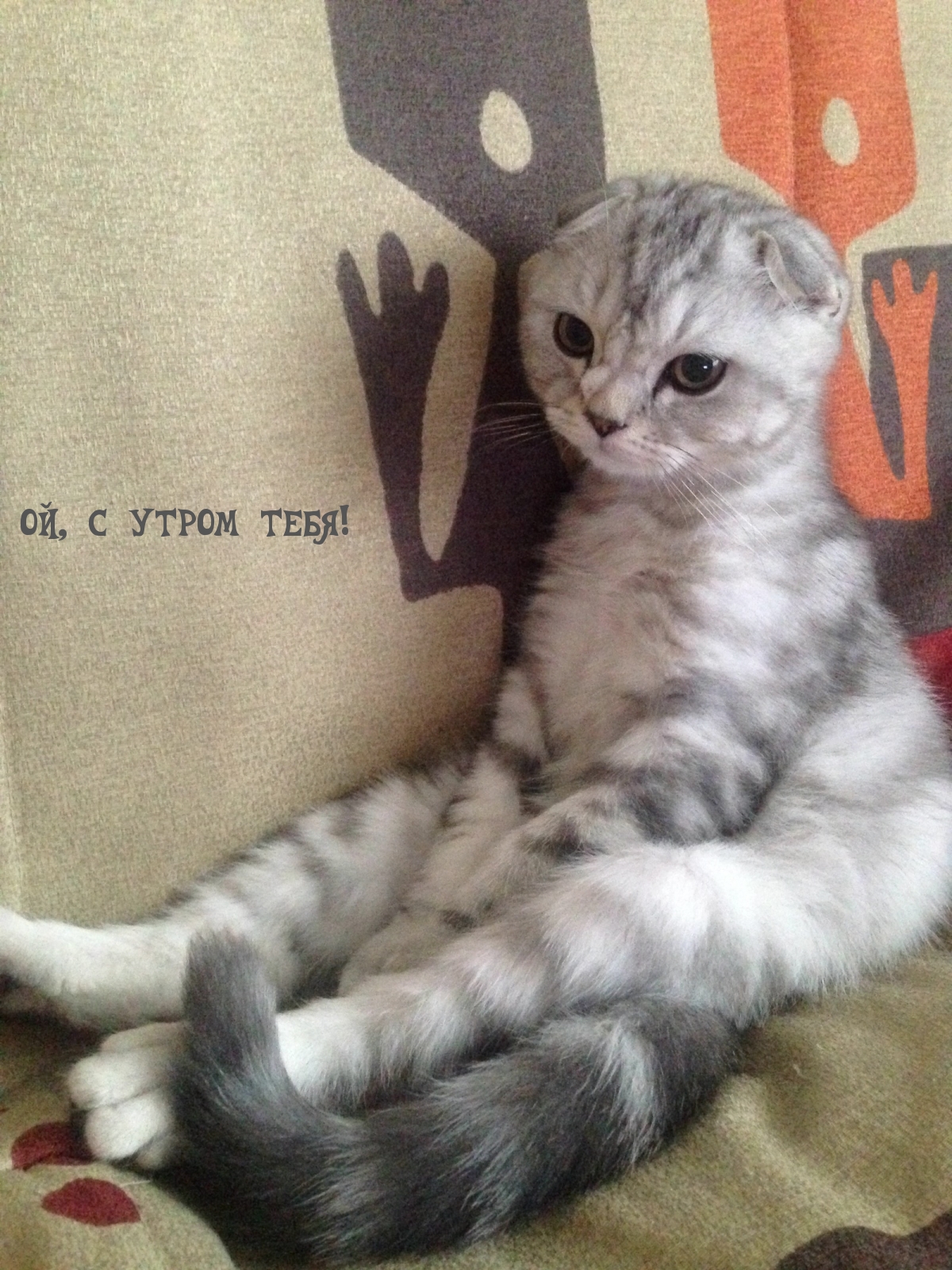 Ой, с утром тебя!