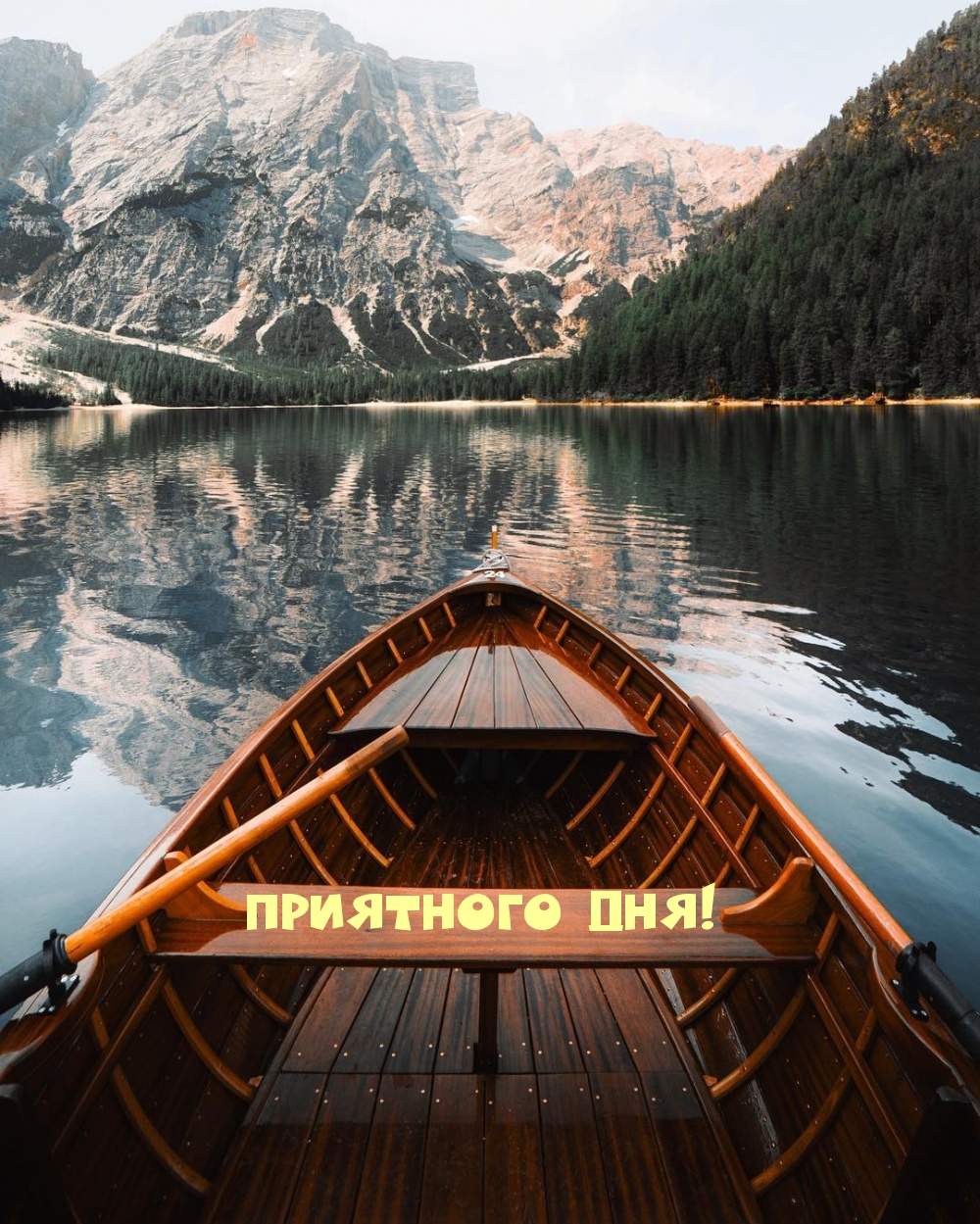 Приятного дня!
