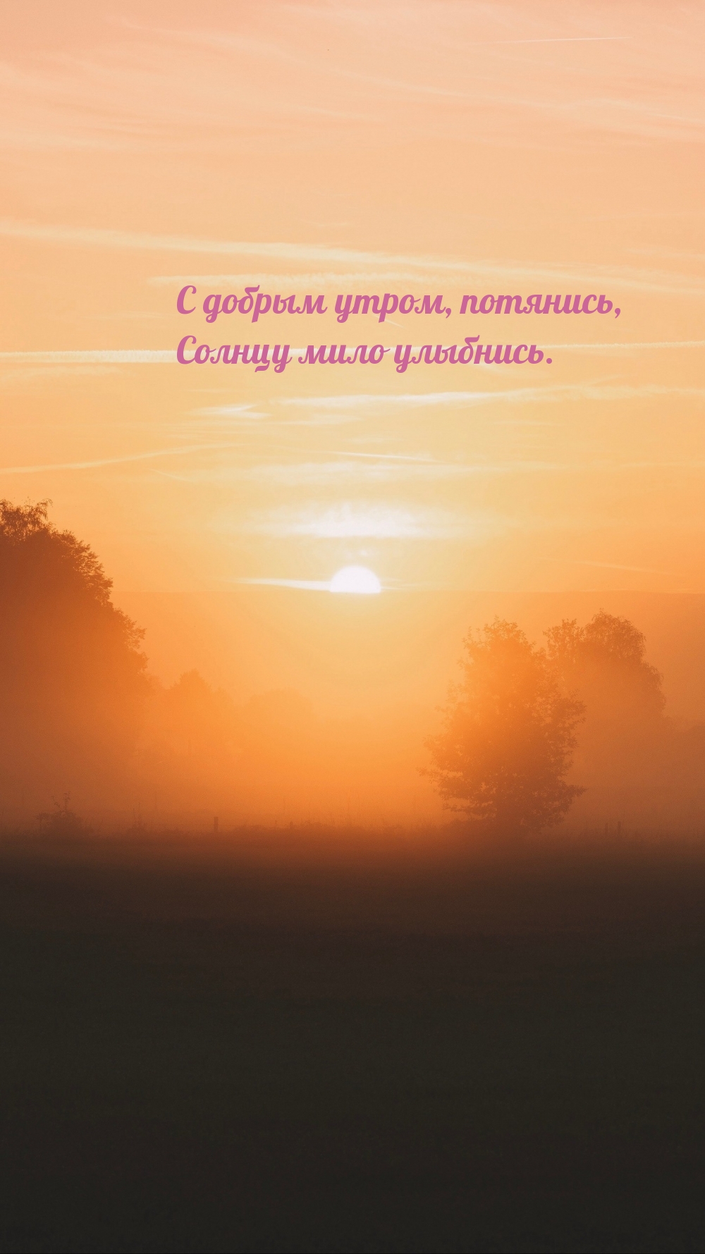 С добрым утром, потянись, солнцу мило улыбнись.