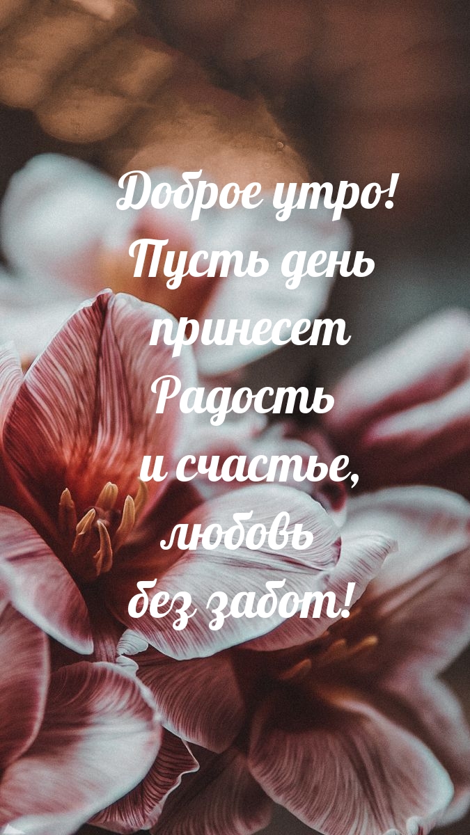 Доброе утро! Пусть день принесет радость