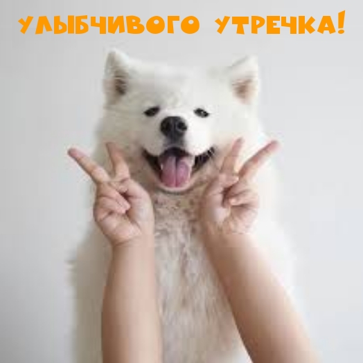 Улыбчивого утречка!