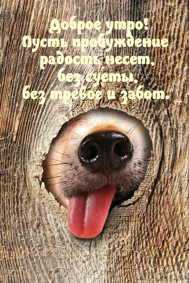 Доброе утро! Пусть пробуждение радость несет