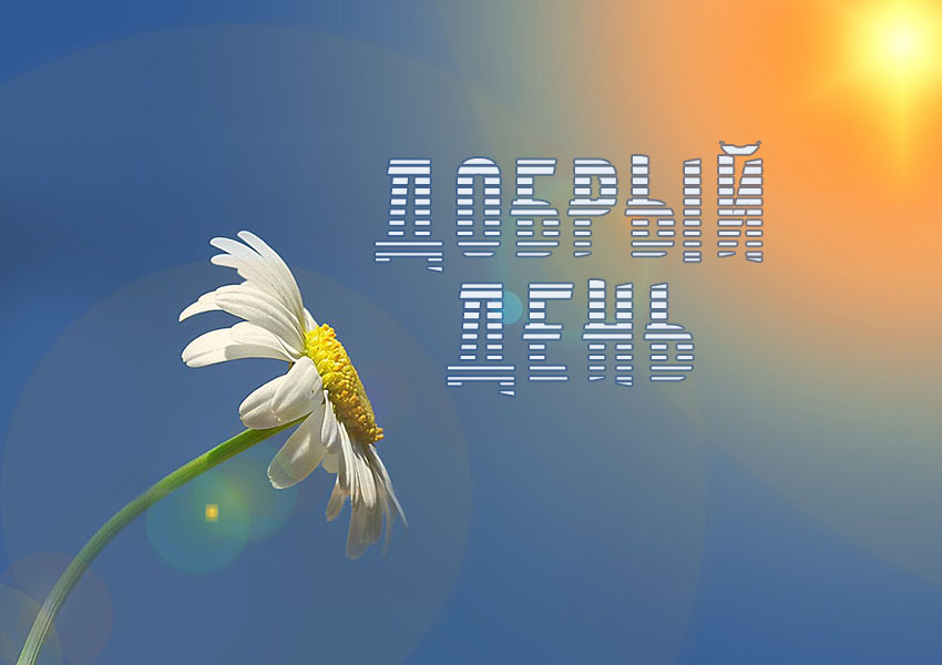 Добрый день!