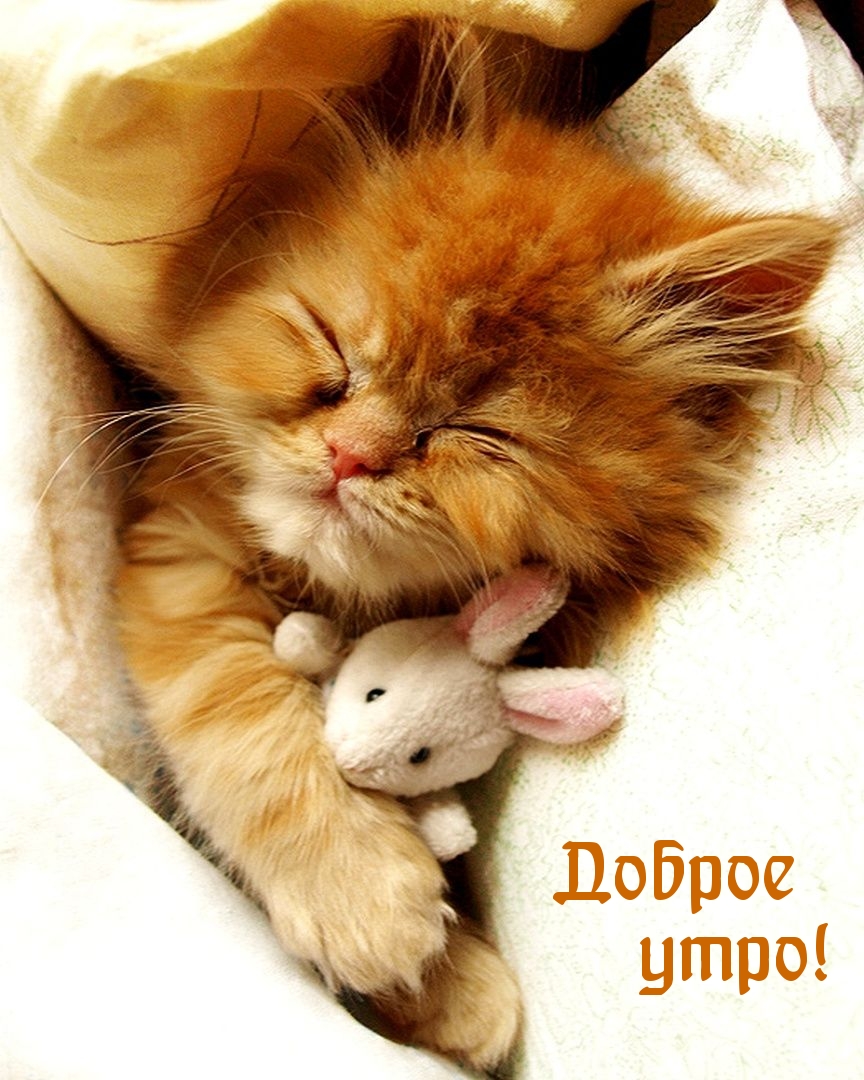 Доброе утро!