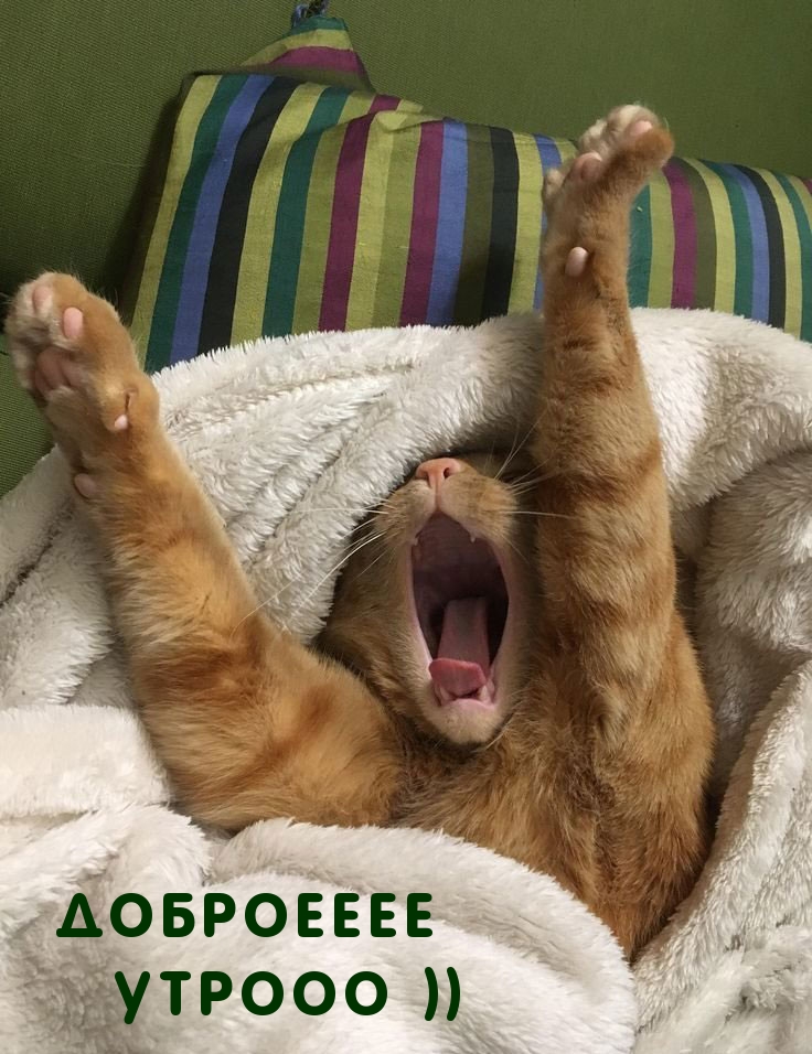 Доброееее утрооо ))