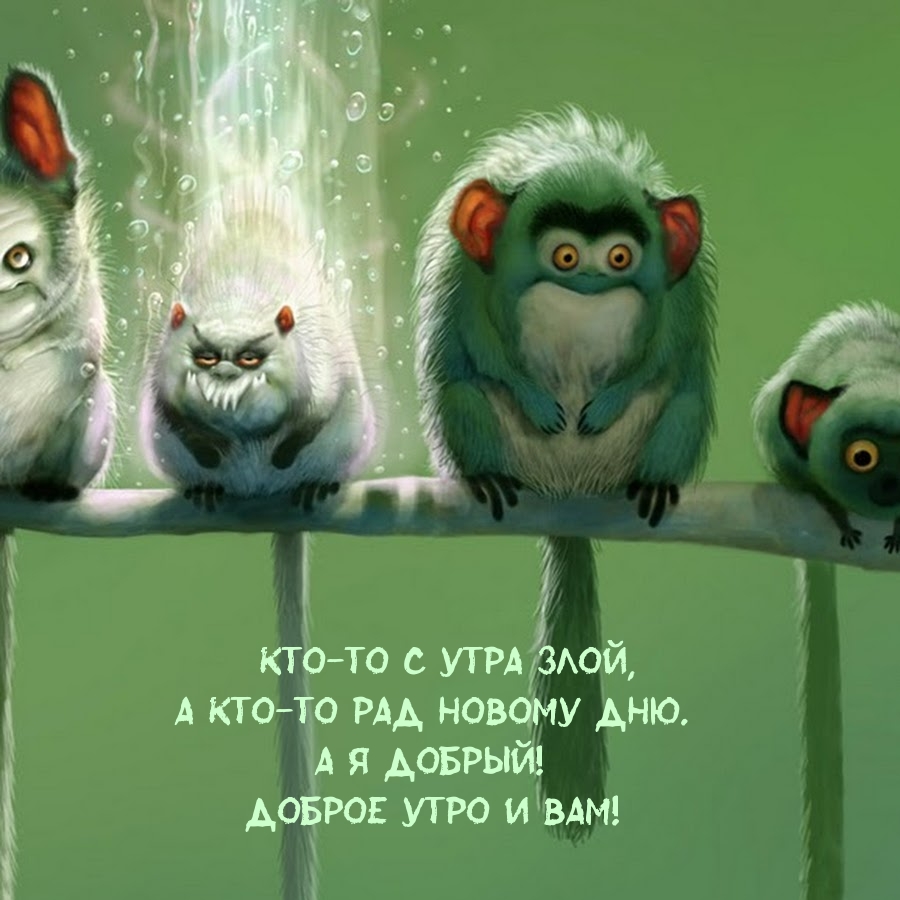Кто-то с утра злой, а кто-то рад новому дню.