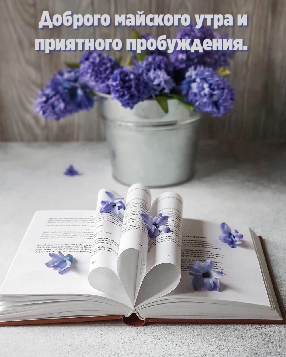 Доброго майского утра и приятного пробуждения.