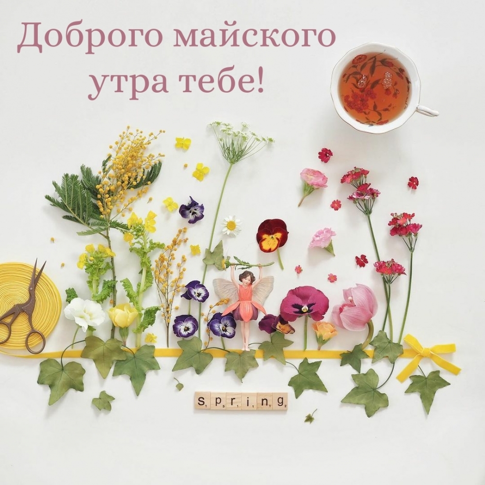 Доброго майского утра тебе!