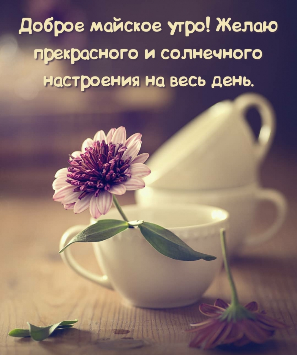 Доброе майское утро!