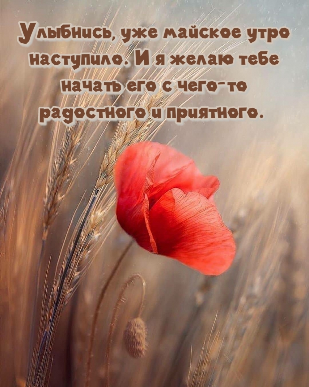 Улыбнись, уже майское утро наступило.