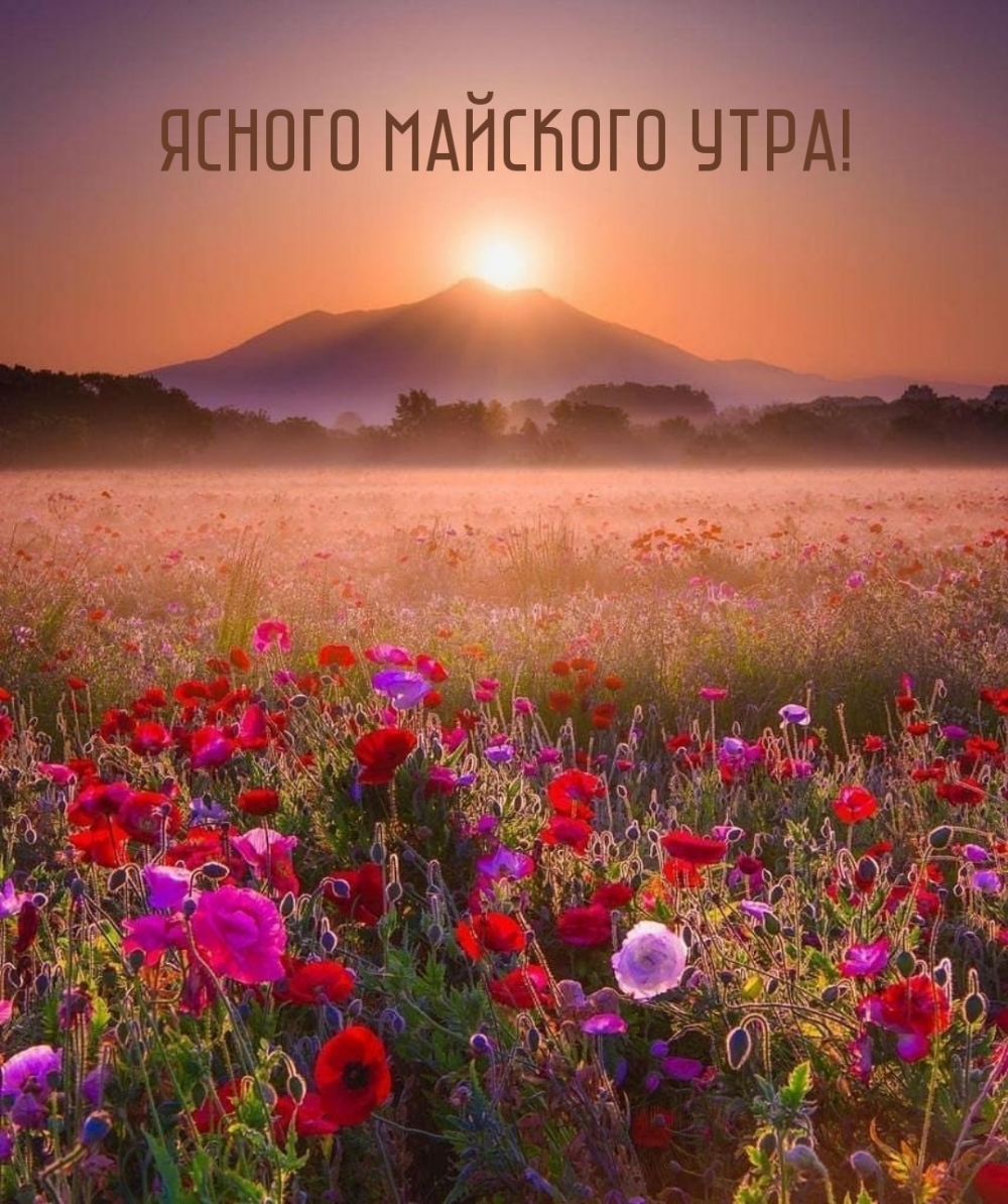 Ясного майского утра!
