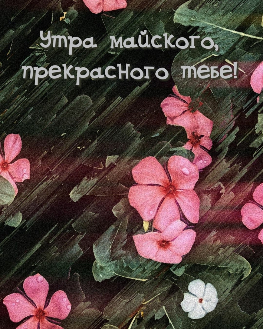 Утра майского, прекрасного тебе!