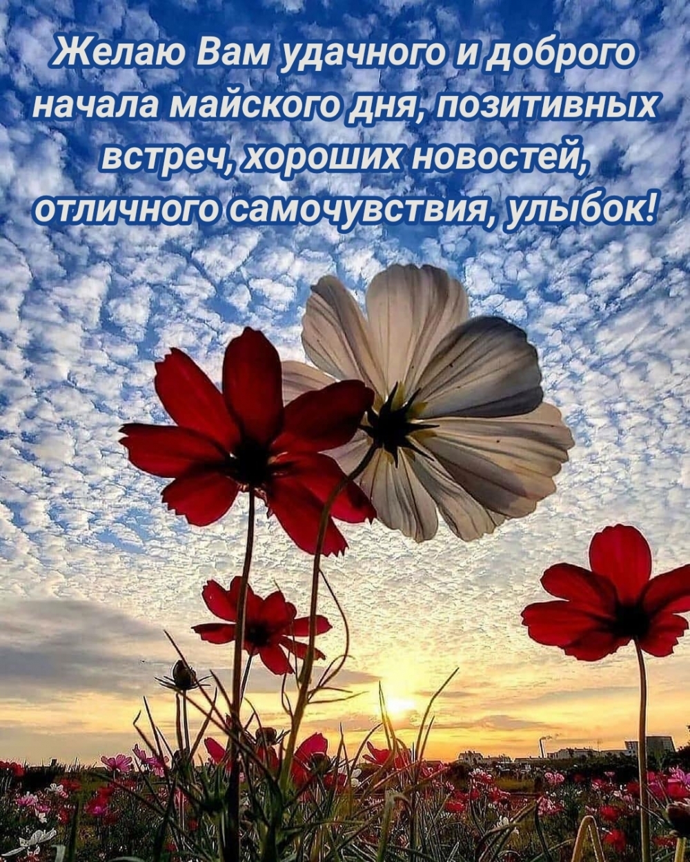 Желаю Вам удачного и доброго начала майского дня
