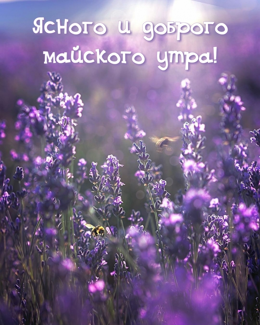 Ясного и доброго майского утра!