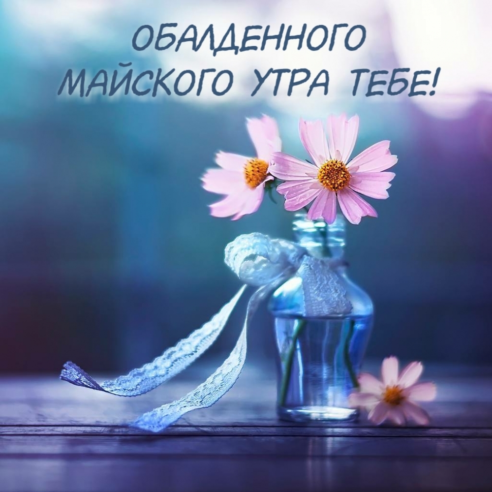 Обалденного майского утра тебе!