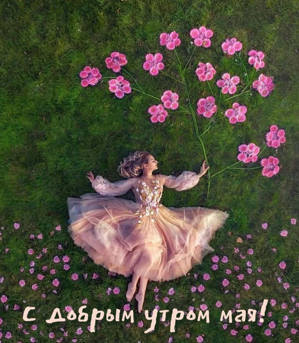 С добрым утром мая!