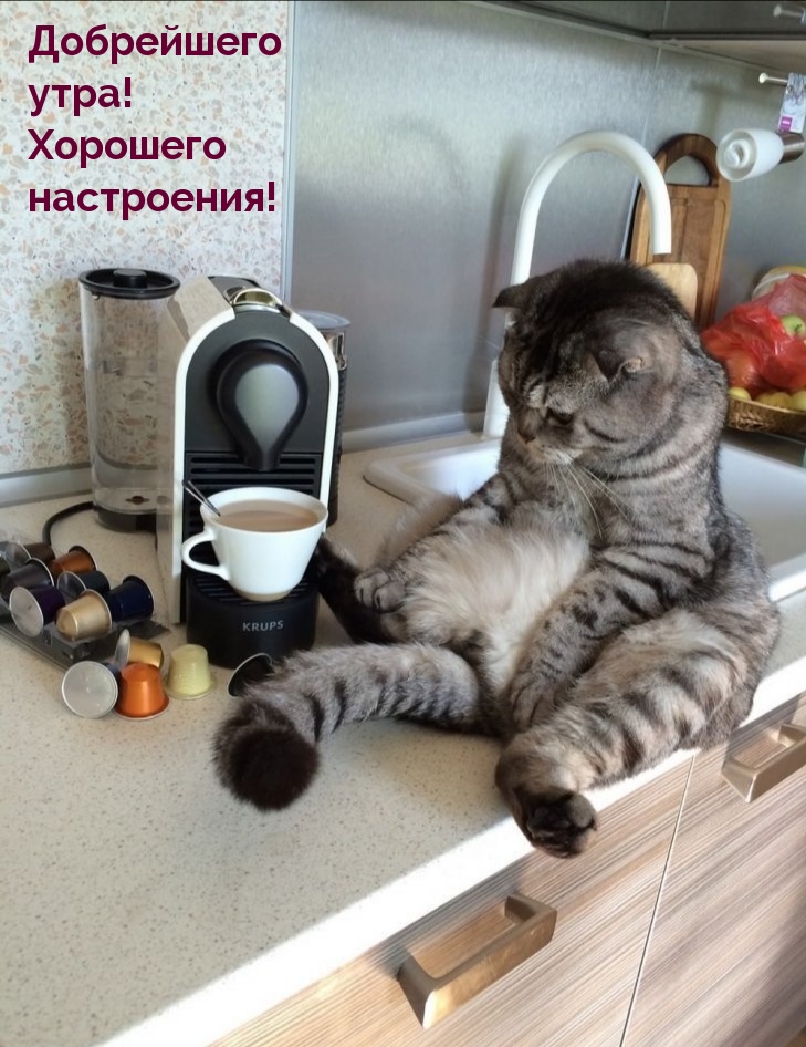 Добрейшего утра! Хорошего настроения!