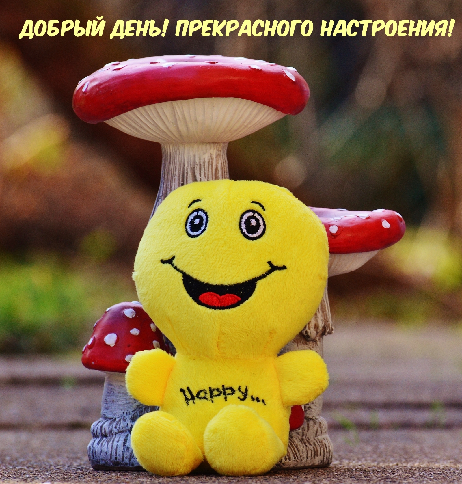 Добрый день! Прекрасного настроения!