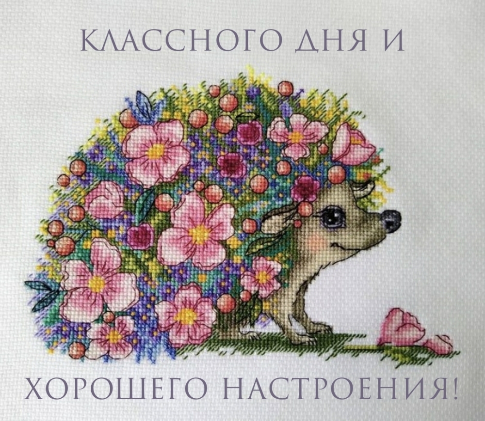 Классного дня и хорошего настроения!