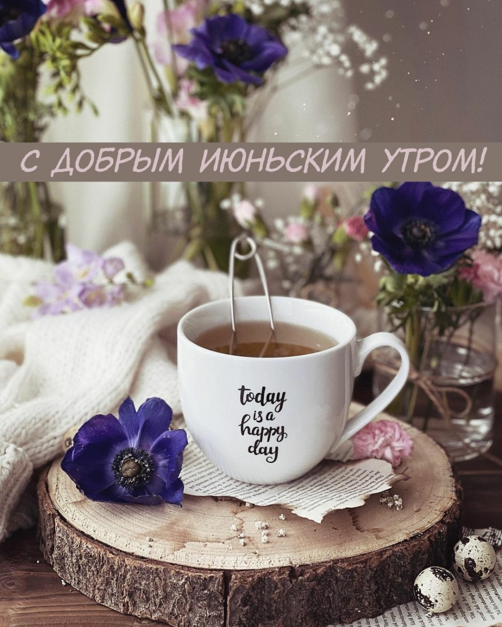 С добрым июньским утром!