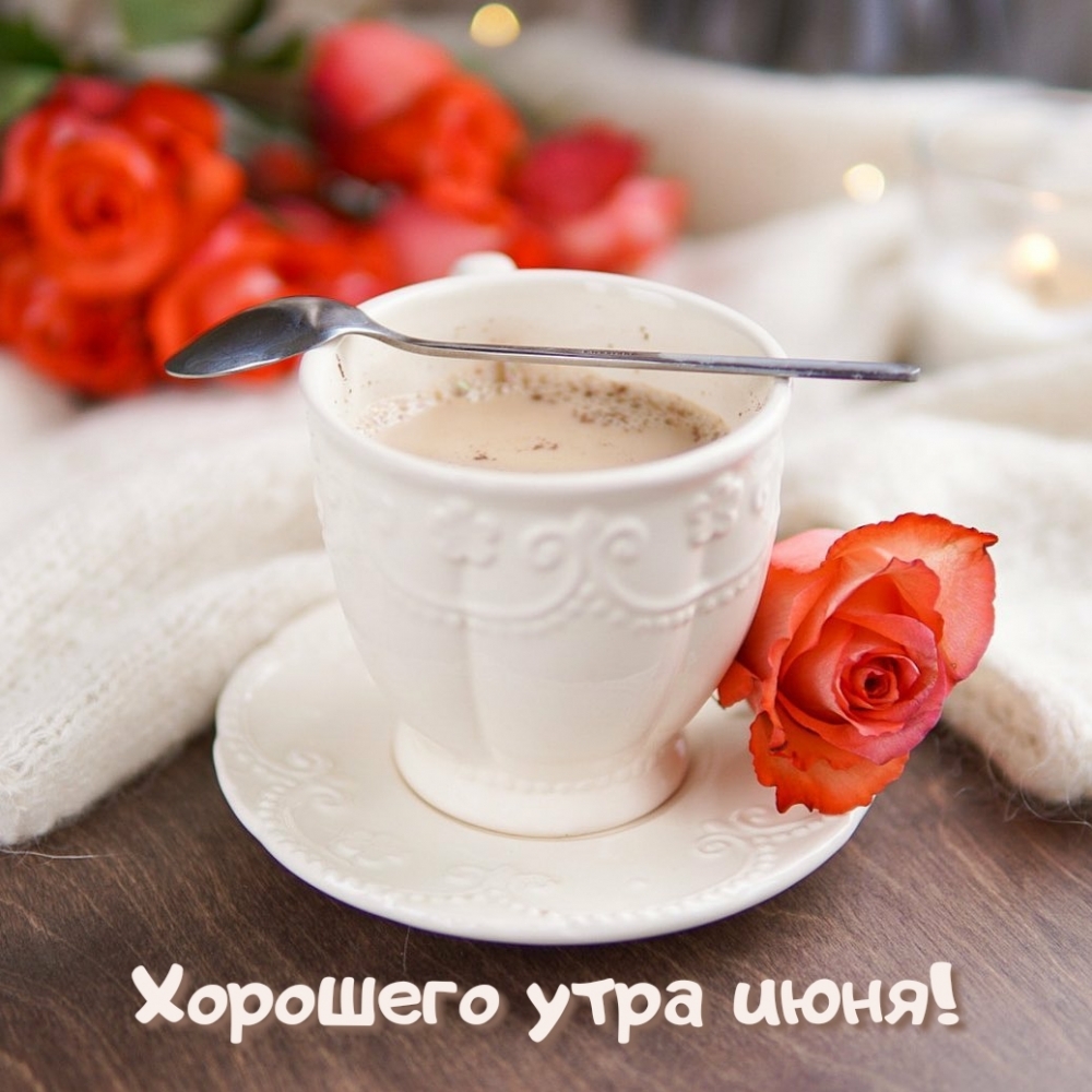 Хорошего утра июня!