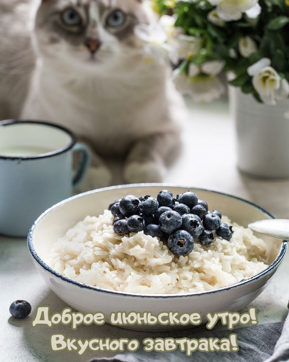 Доброе июньское утро! Вкусного завтрака!