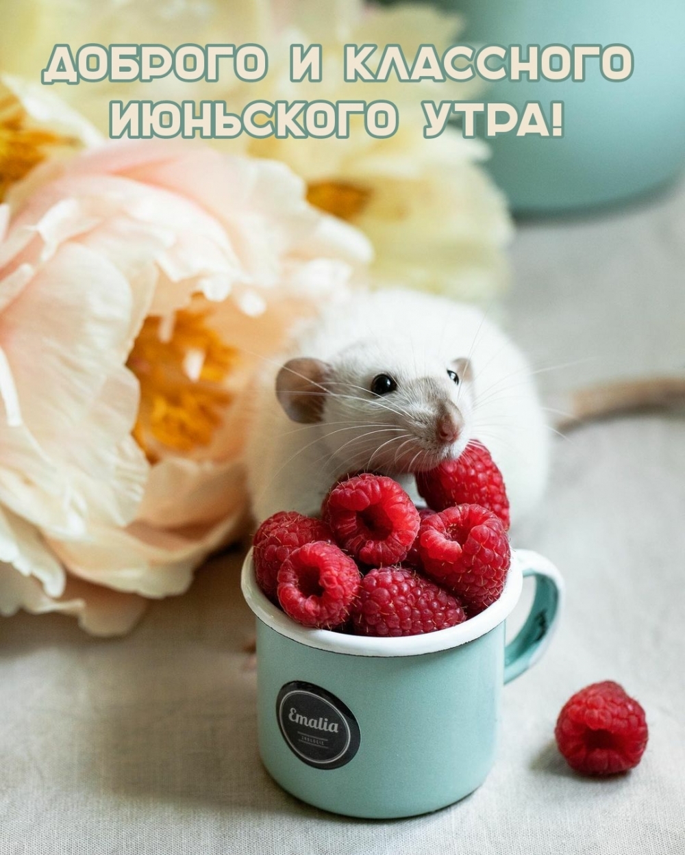 Доброго и классного июньского утра!