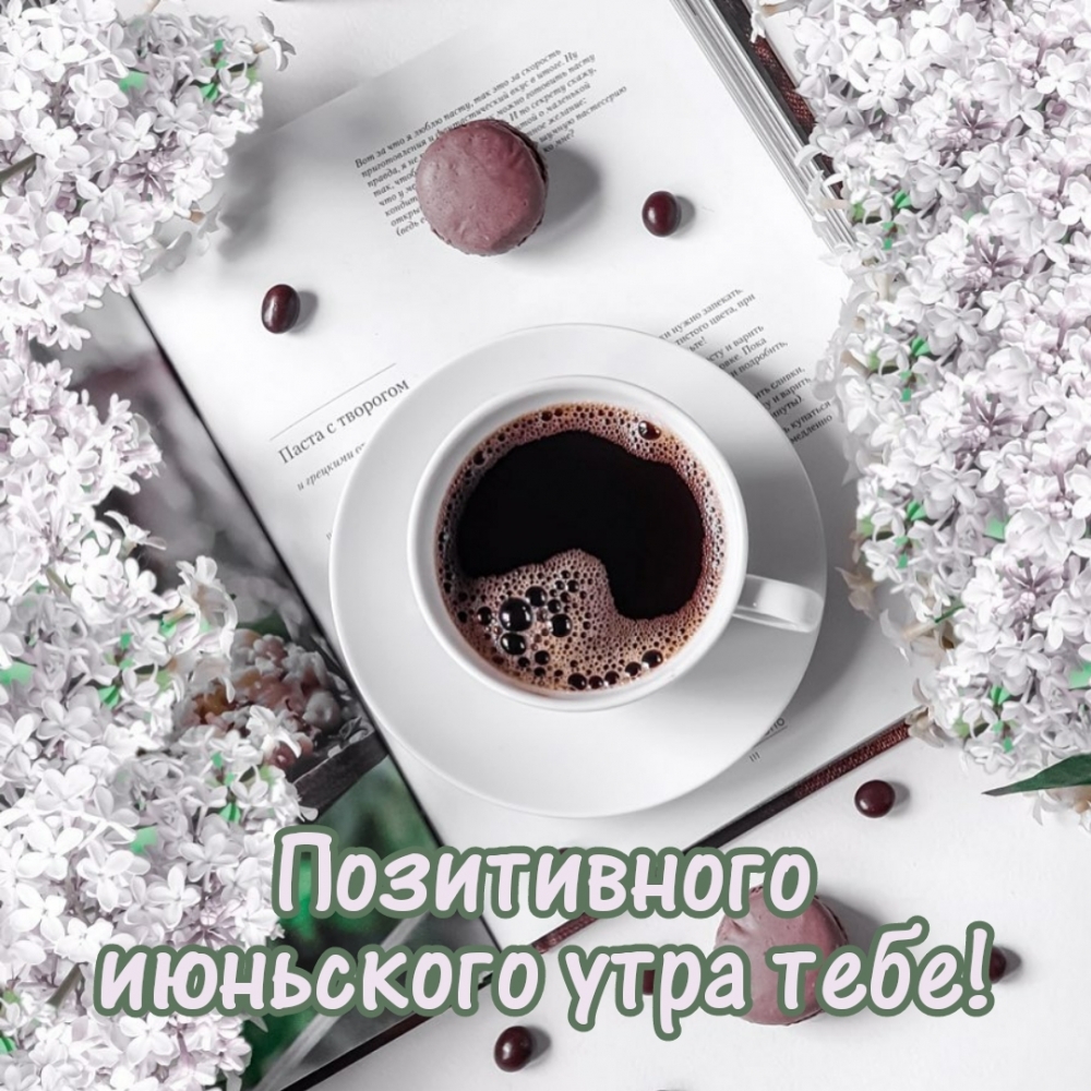 Позитивного июньского утра тебе!