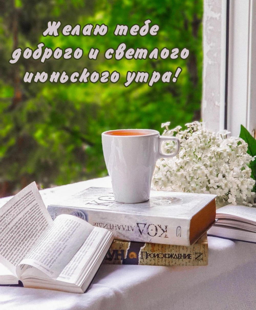 Желаю тебе доброго и светлого июньского утра!