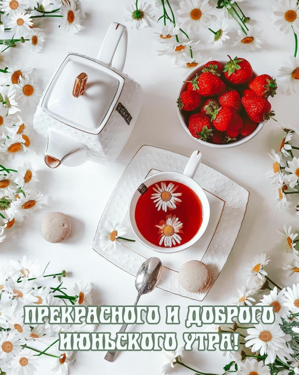 Прекрасного и доброго июньского утра!