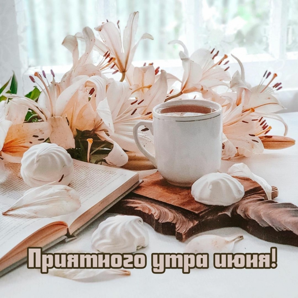Приятного утра июня!
