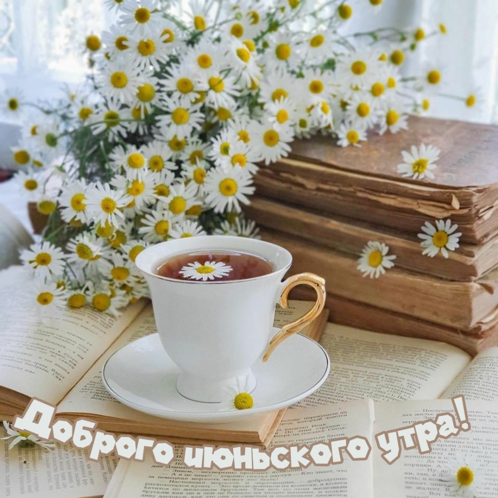 Доброго июньского утра!
