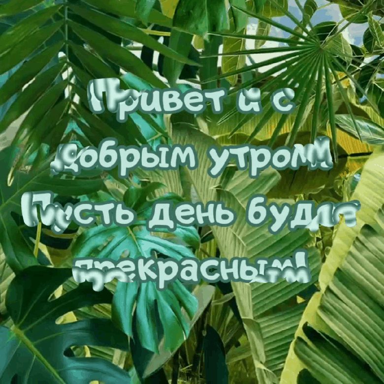 Привет и с добрым утром! Пусть день будет прекрасным!