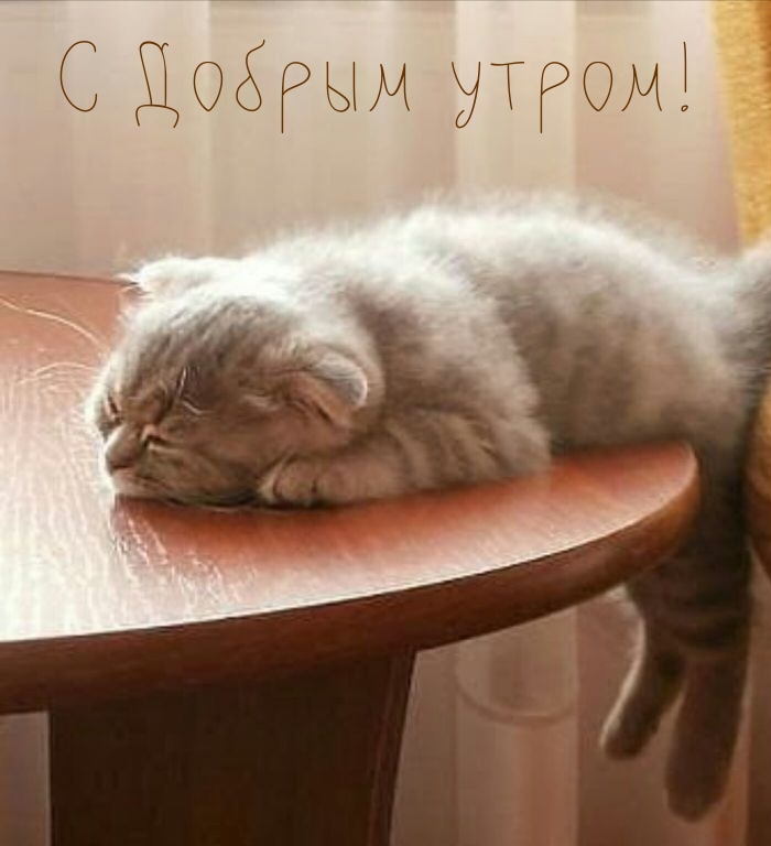 С Добрым утром!