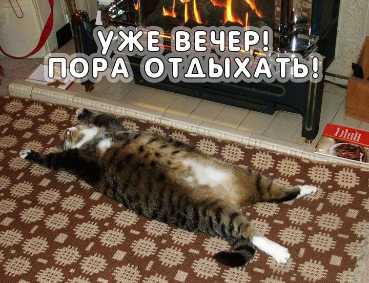 Уже вечер, пока отдыхать!