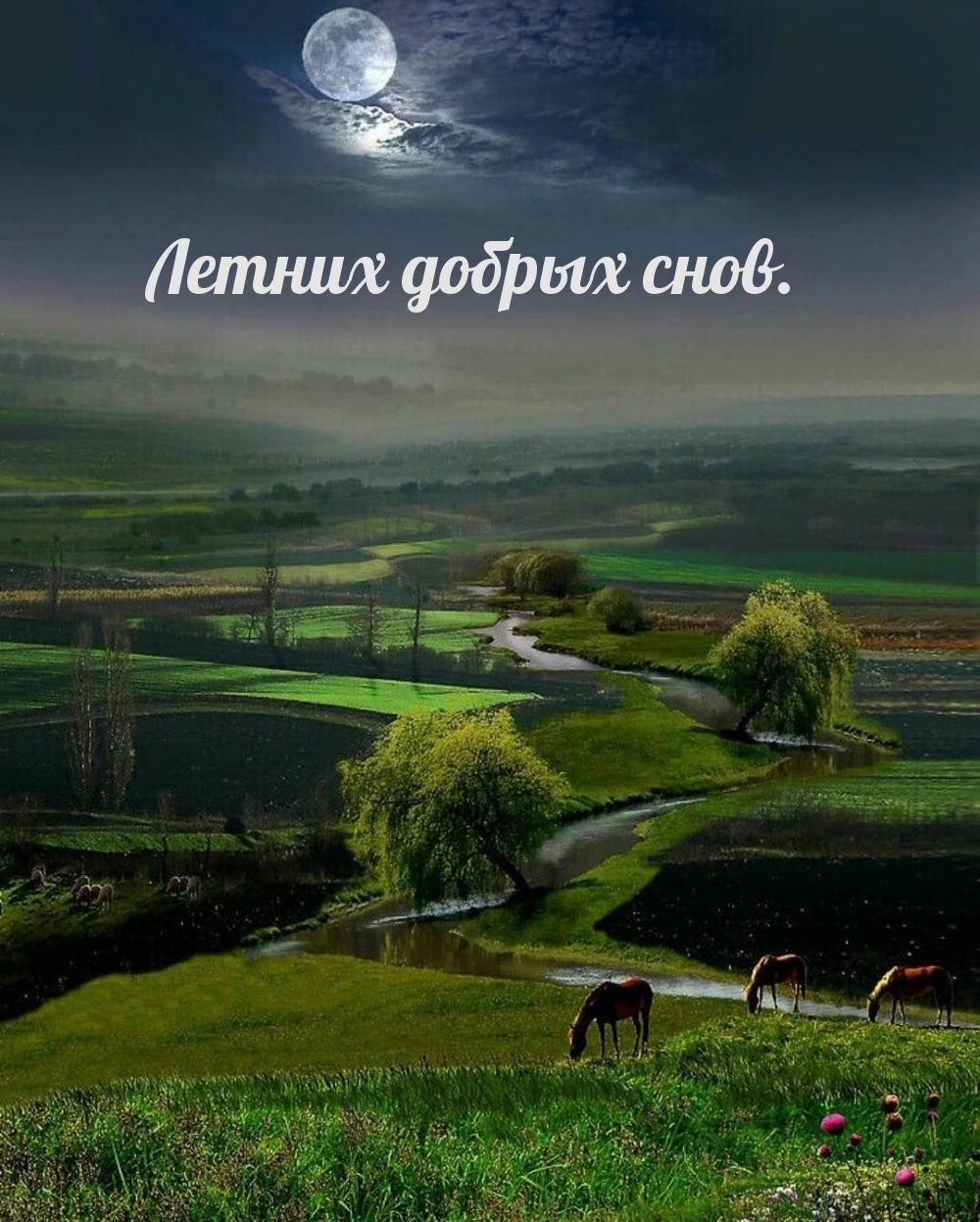 Летних добрых снов.