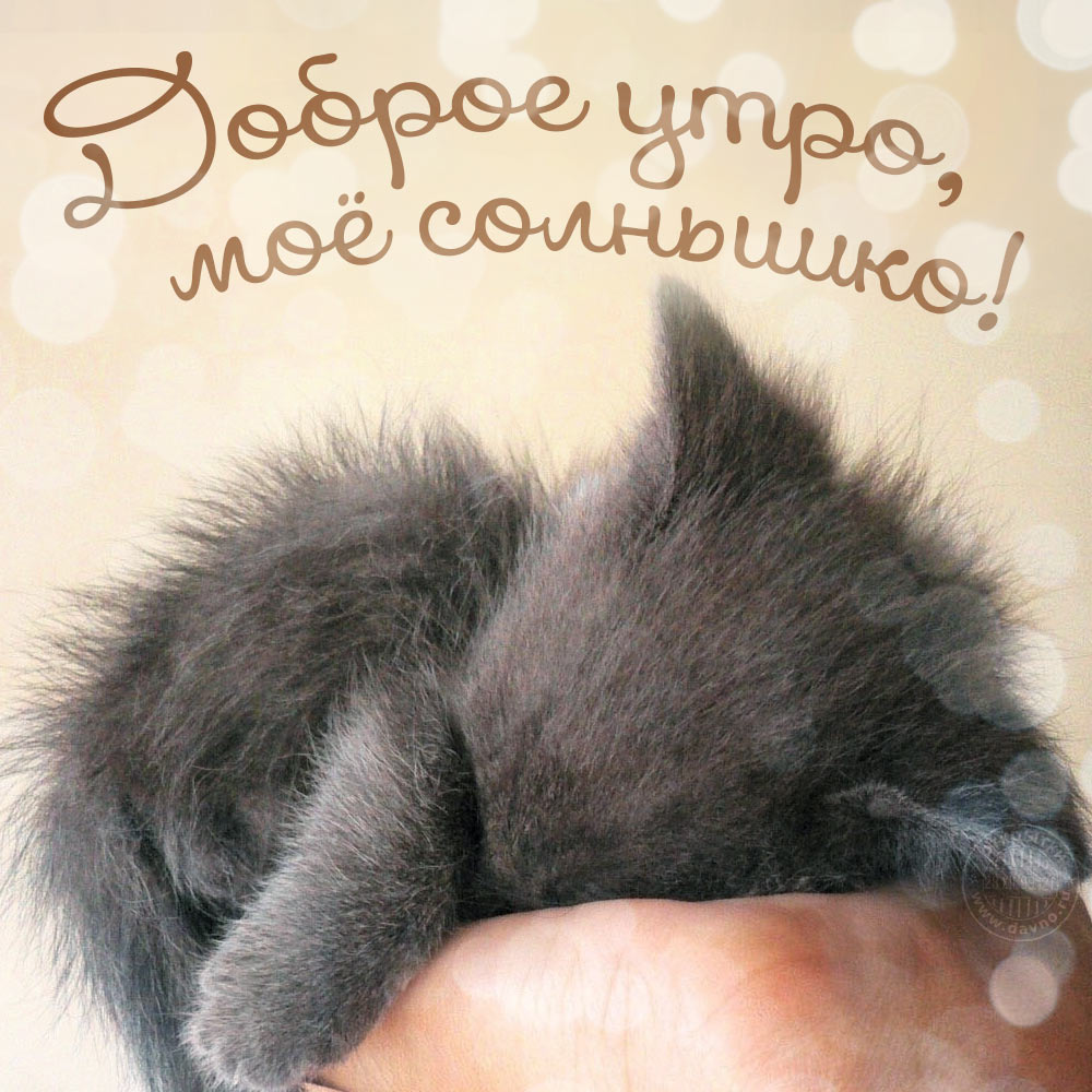 Доброе утро, мое солнышко!