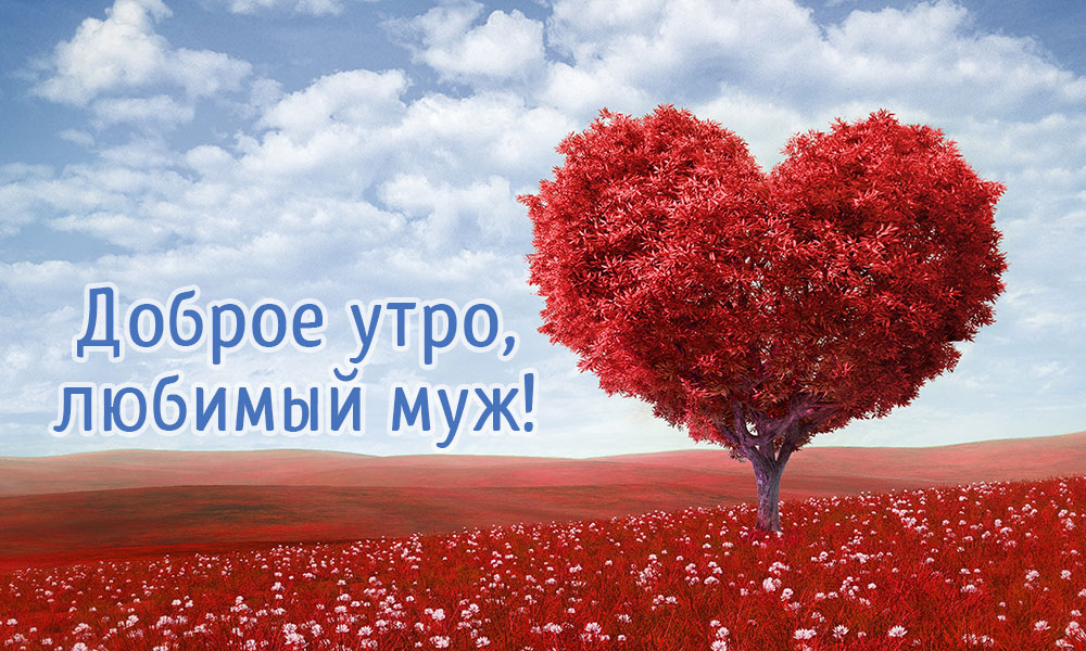 Любимый муж, с добрым утром!