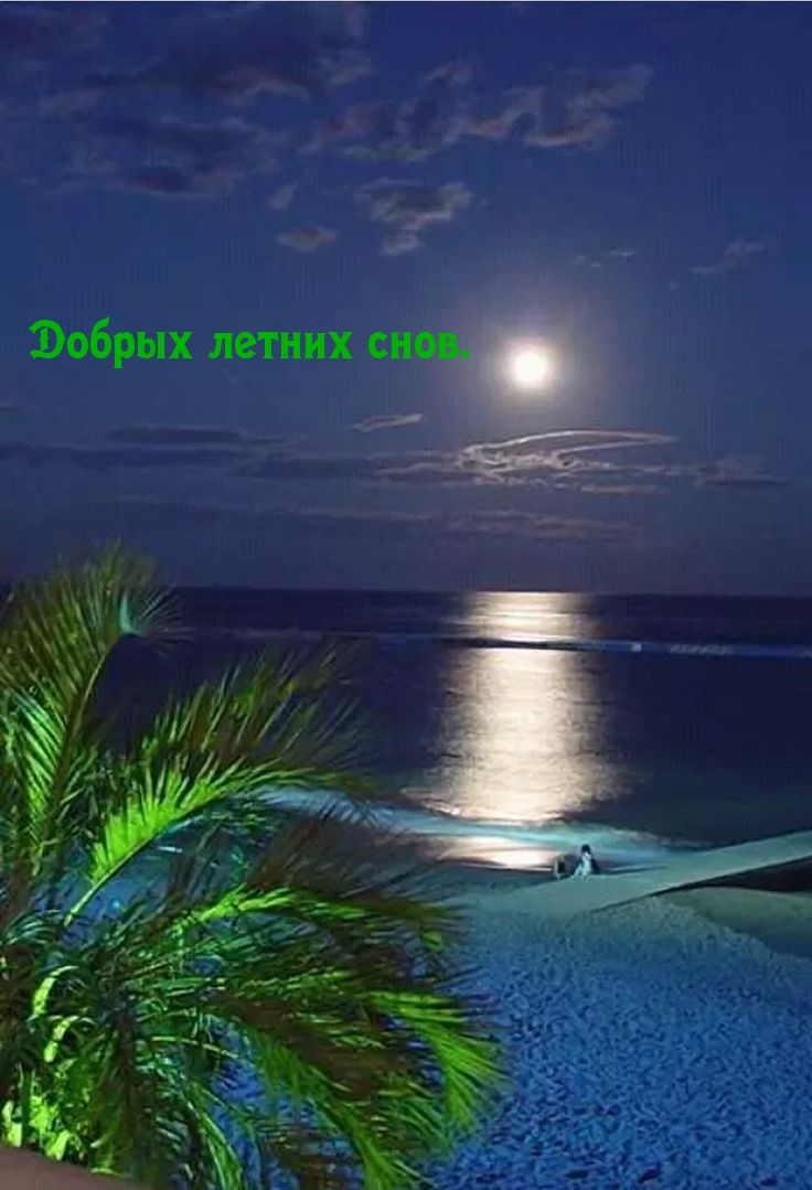 Добрых летних снов.