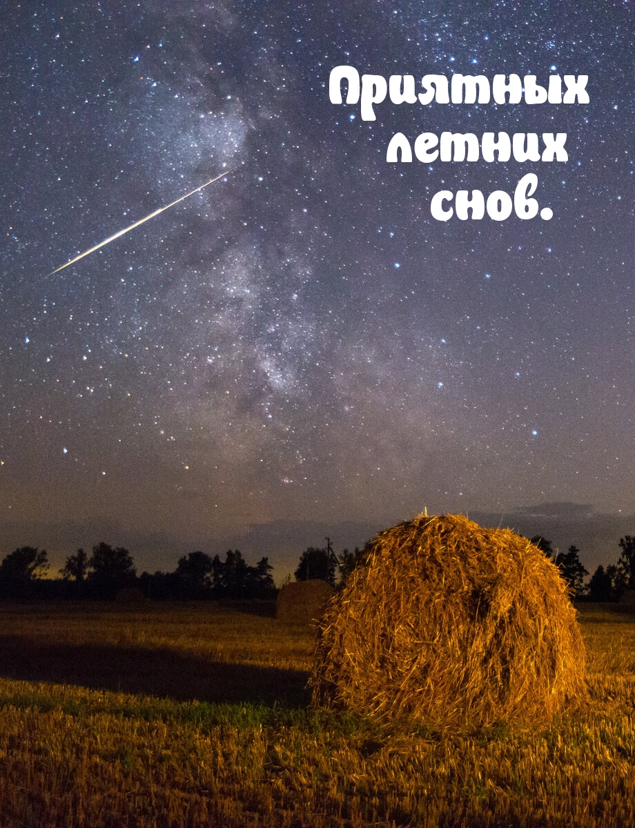 Приятных летних снов.