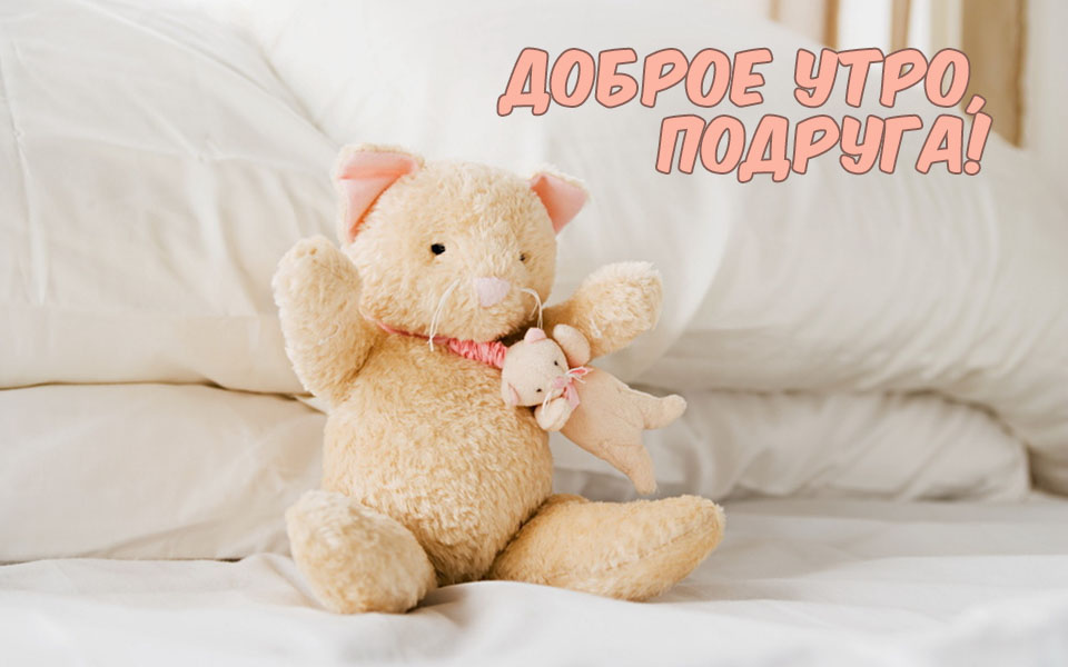 Доброе утро, подруга!