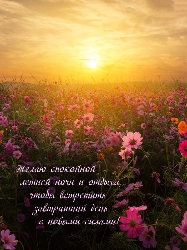 Желаю спокойной летней ночи и отдыха