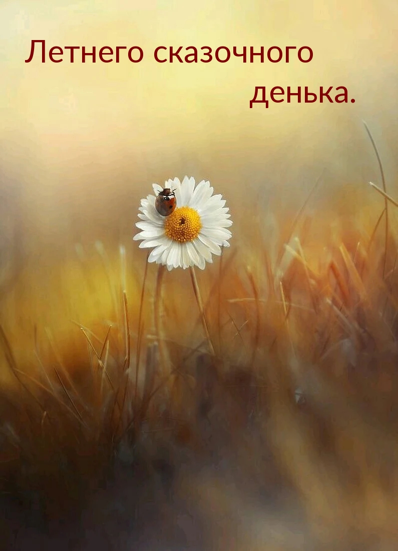 Летнего сказочного денька.