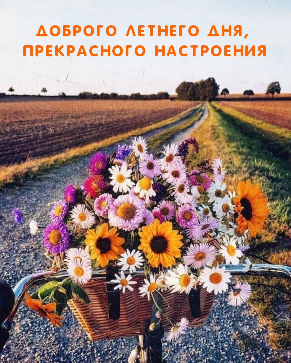 Доброго летнего дня, Прекрасного настроения