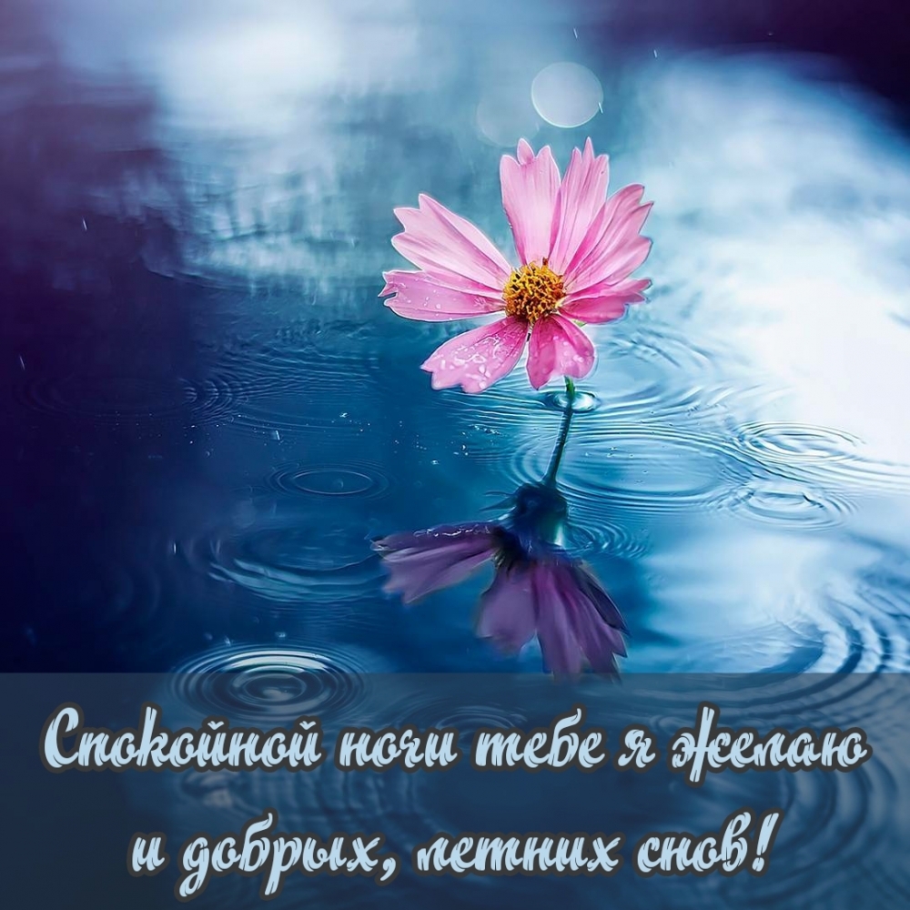 Спокойной ночи тебе я желаю и добрых, летних снов!