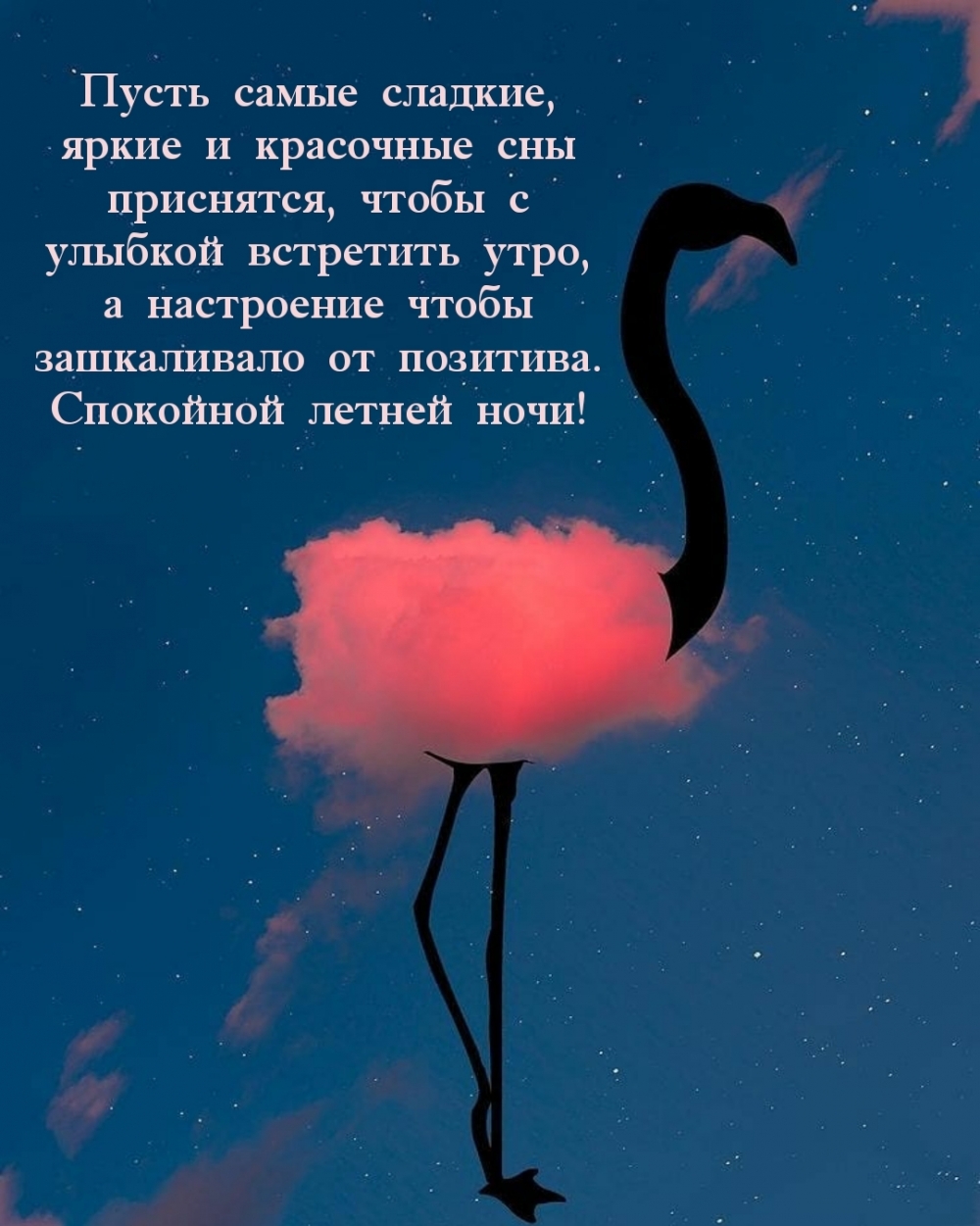 Спокойной летней ночи!