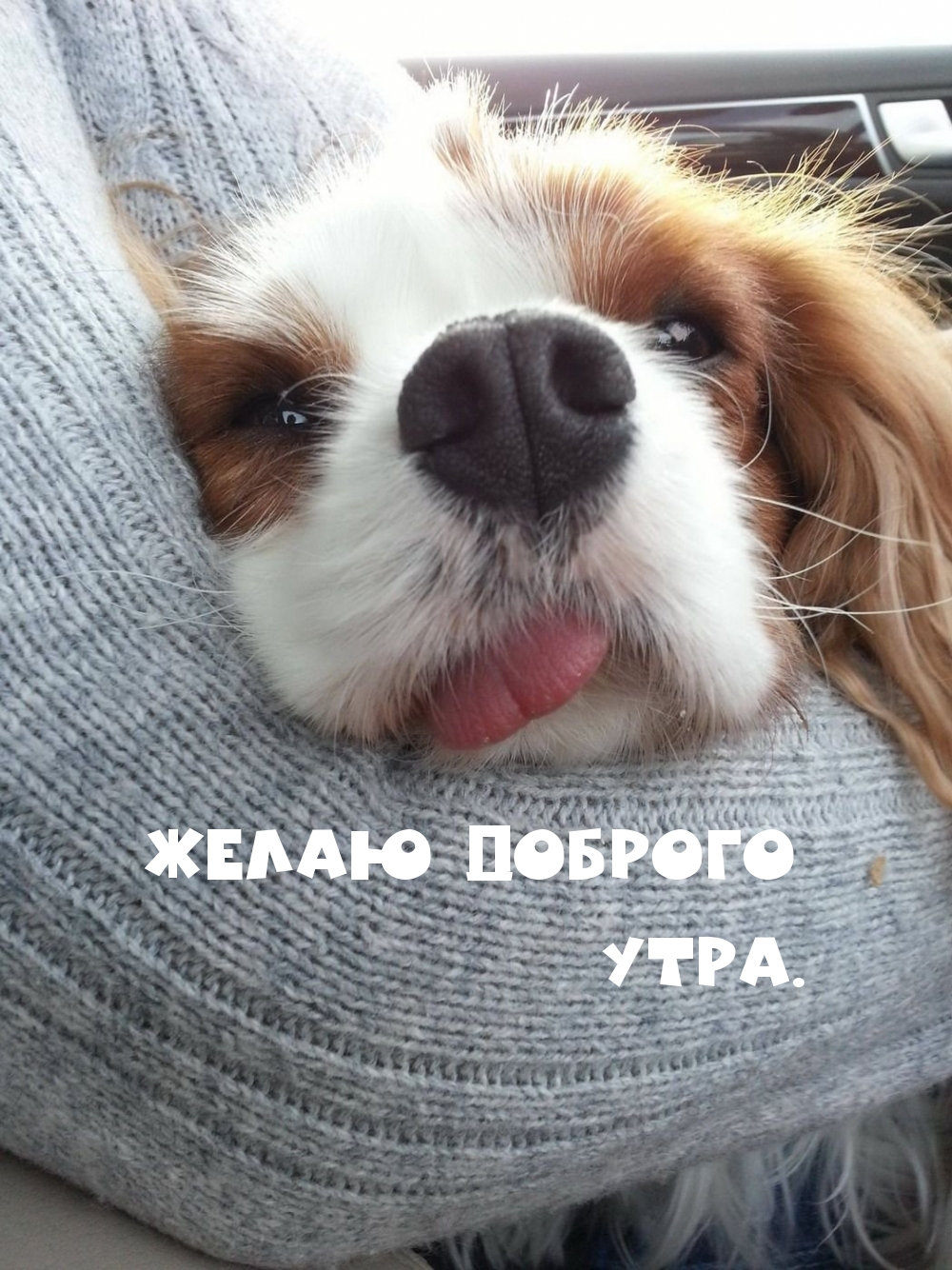Желаю доброго утра.