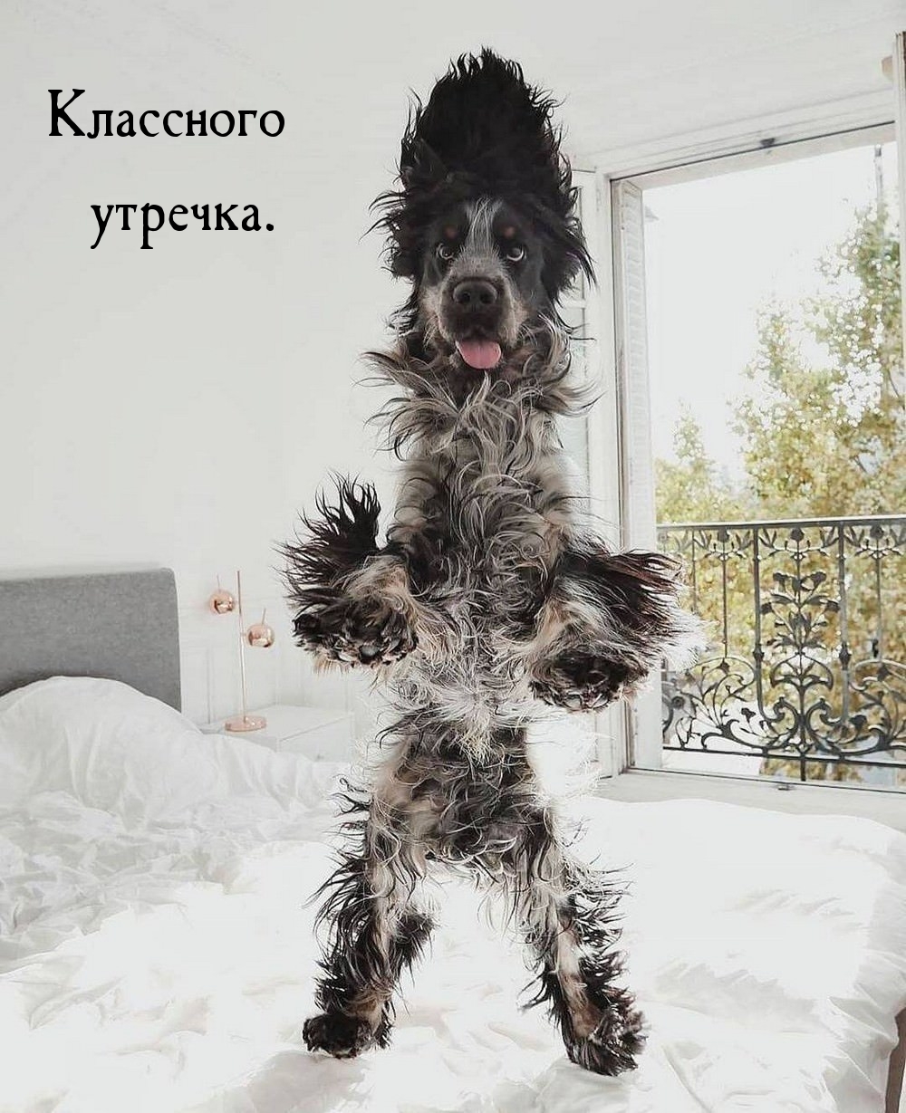 Классного утречка.